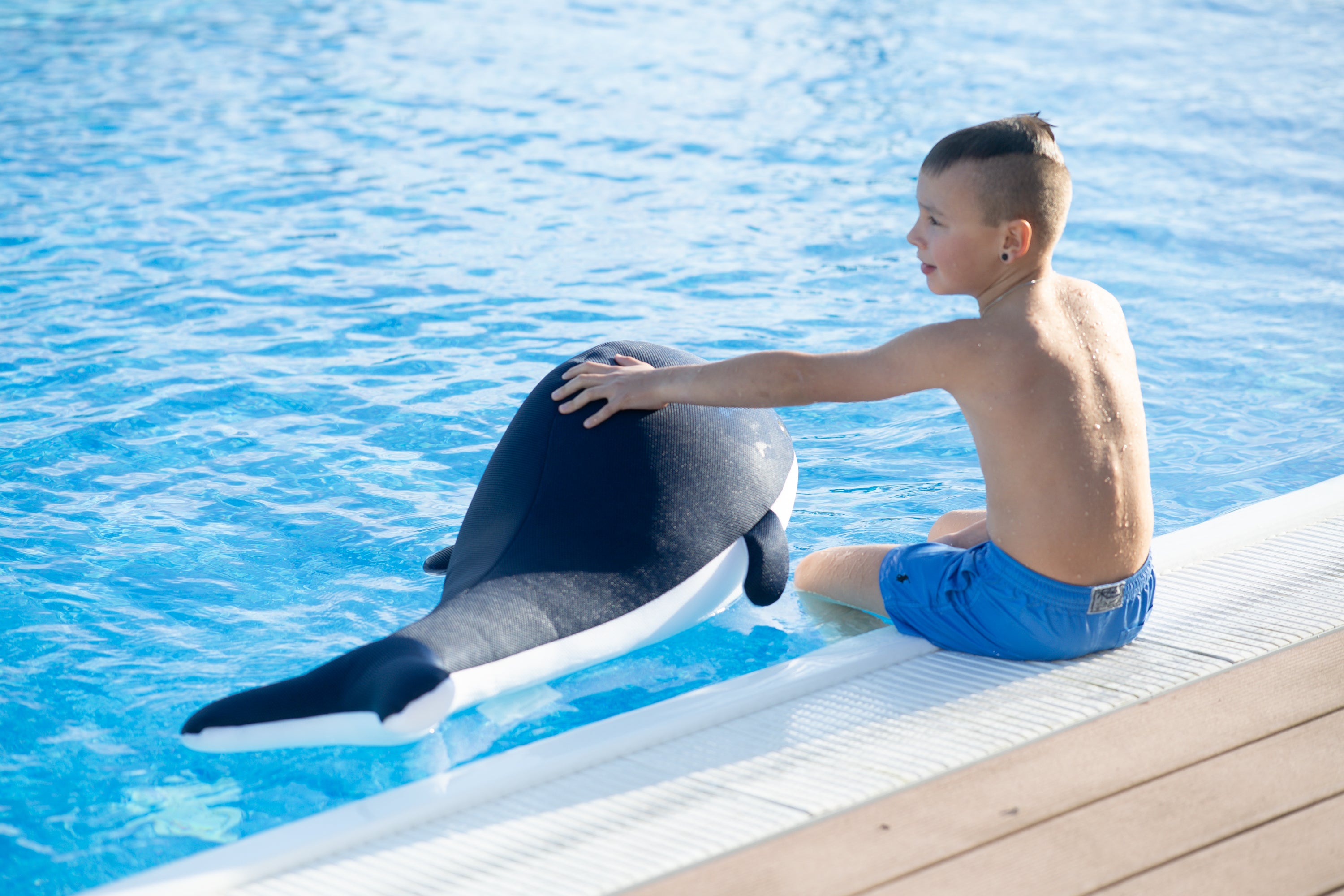 Westmann Pool Buddy Wal blau, Schwimminsel & Sitzsack