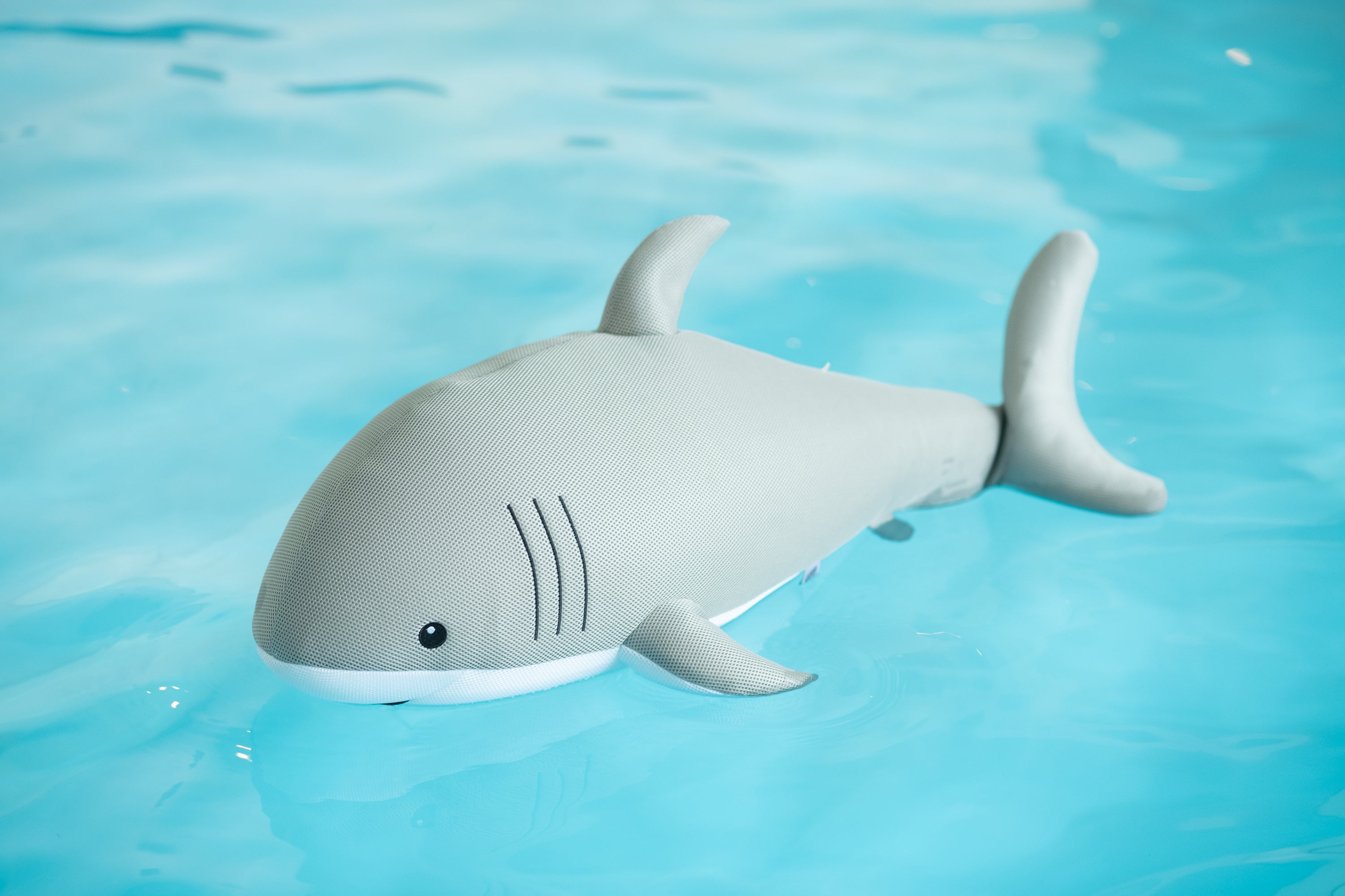 Westmann Pool Buddy Hai grau, weiss