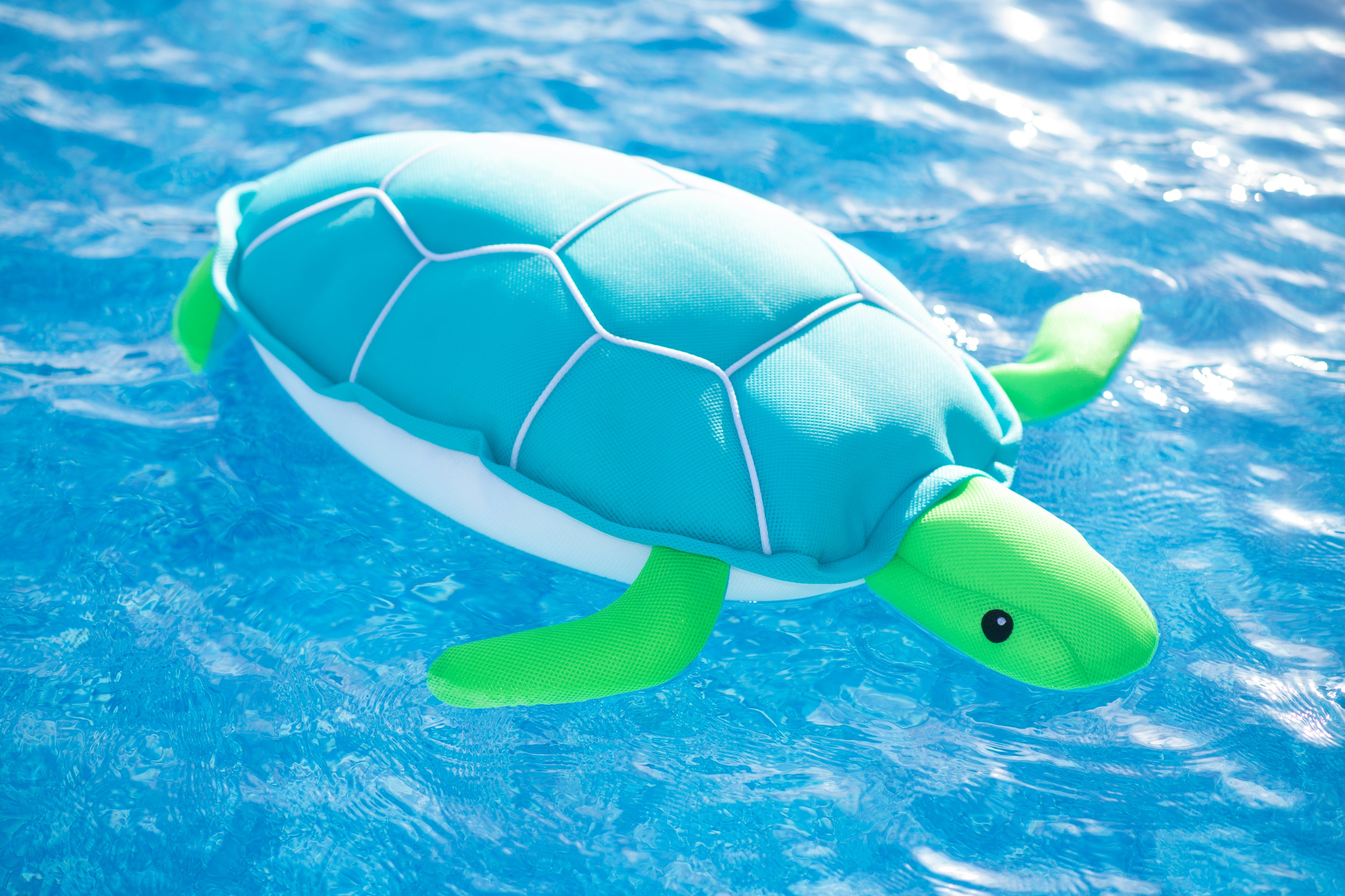 Westmann Pool Buddy Schildkröte blau